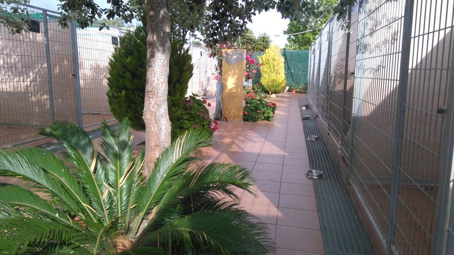 Instalaciones: servicios de Can Fauna Instalaciones: servicios de Can Fauna
