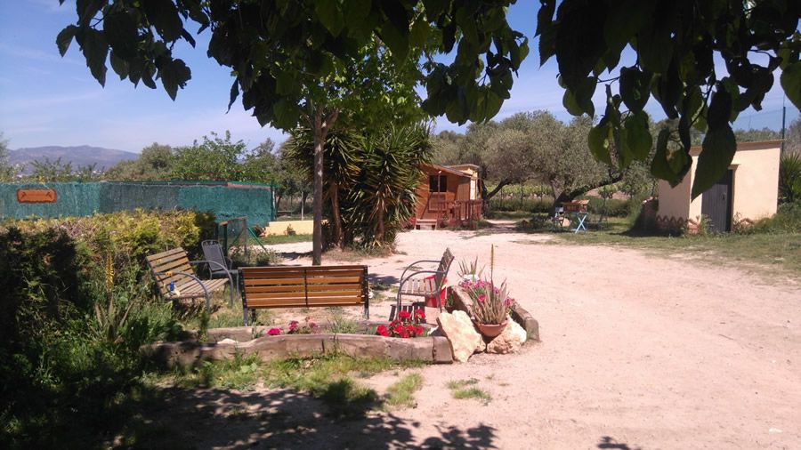 Amplios parques y entorno natural: servicios de Can Fauna Amplios parques y entorno natural: servicios de Can Fauna