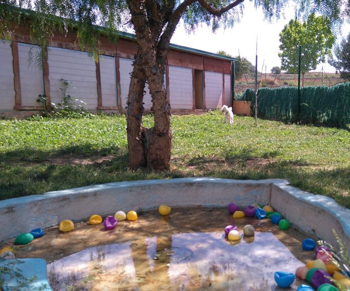 Guardería canina Guardería canina