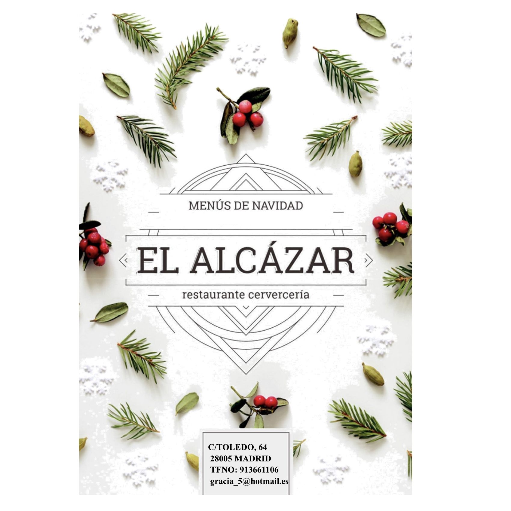 Menús de Navidad Menús de Navidad
