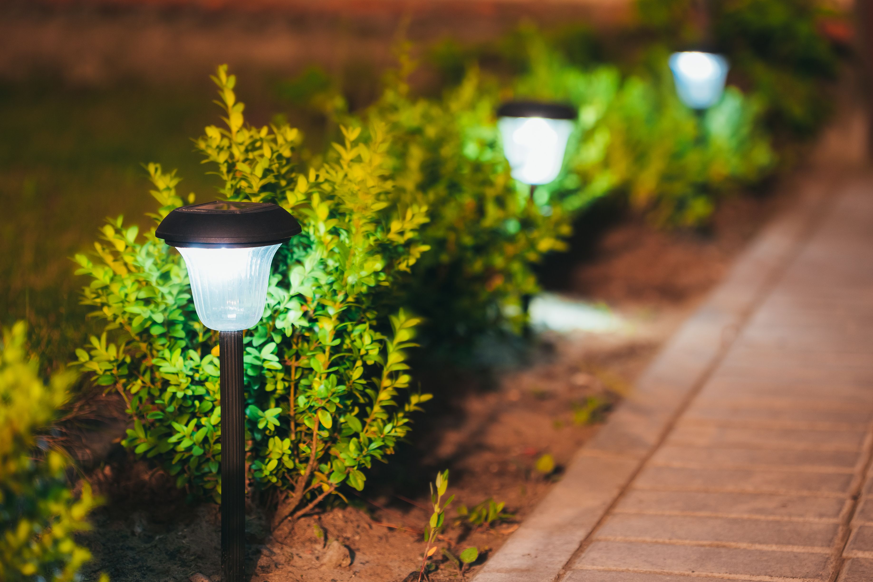 Jardinería: Servicios de ATYS Multiservicios Jardinería: Servicios de ATYS Multiservicios