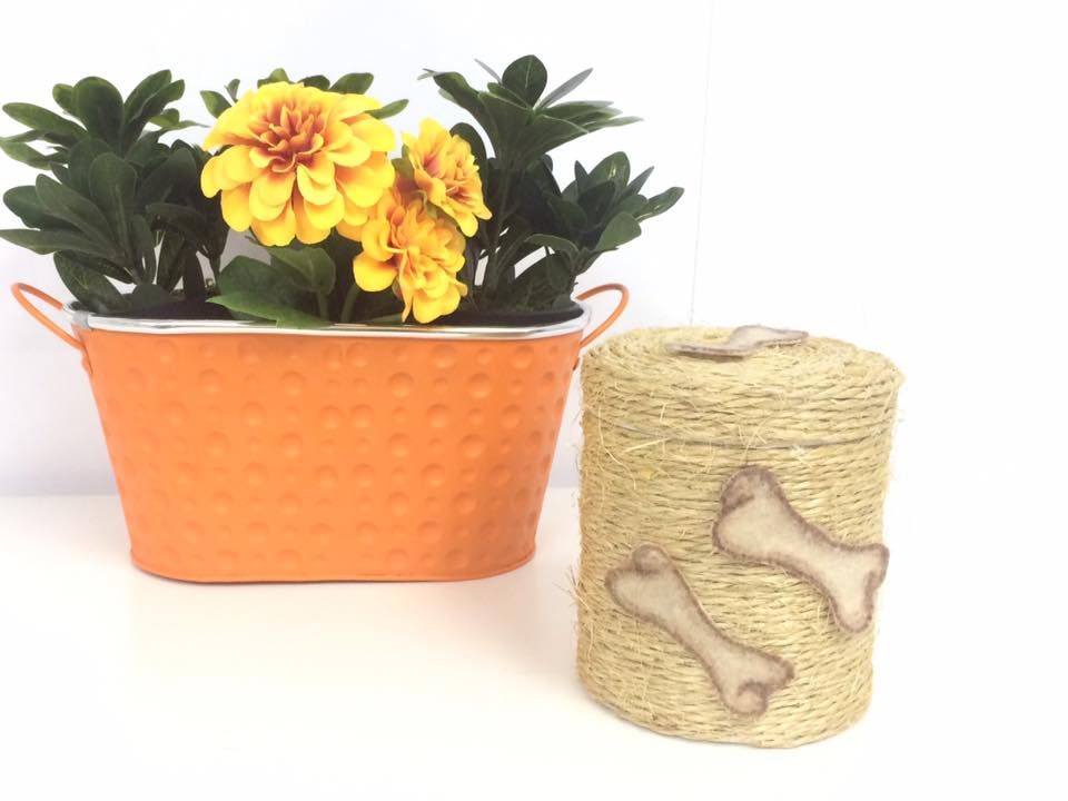 Accesorios y complementos: Servicios de MamaDog Grooming & Pet Shop Accesorios y complementos: Servicios de MamaDog Grooming & Pet Shop