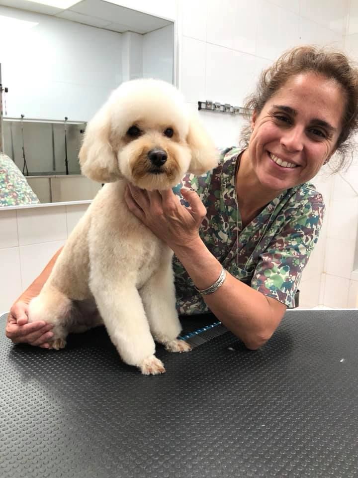 Peluquería canina: Servicios de MamaDog Grooming & Pet Shop Peluquería canina: Servicios de MamaDog Grooming & Pet Shop