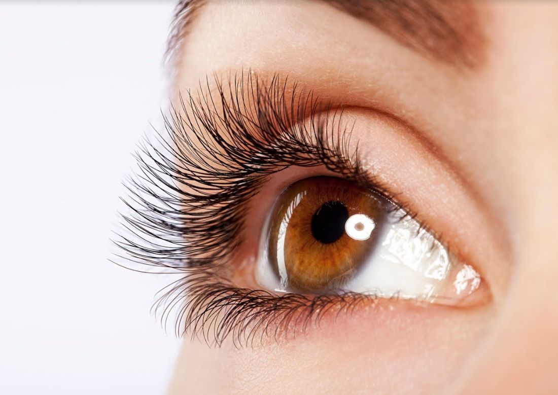 Cejas y pestañas: Servicios de Olan Peluqueros Cejas y pestañas: Servicios de Olan Peluqueros