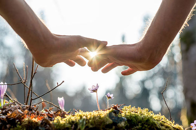 Reiki Gava Reiki Gava