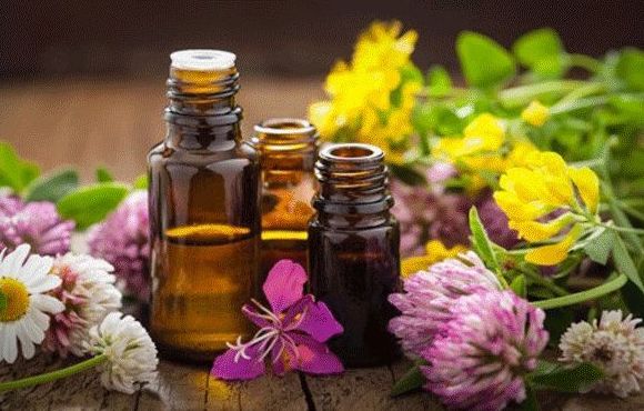 Flores de Bach Gava Flores de Bach Gava