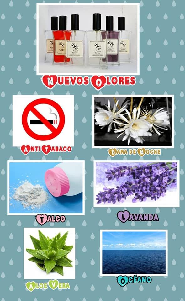 Ambientadores para hogar: Productos de Tus Caprichos de Mujer Ambientadores para hogar: Productos de Tus Caprichos de Mujer