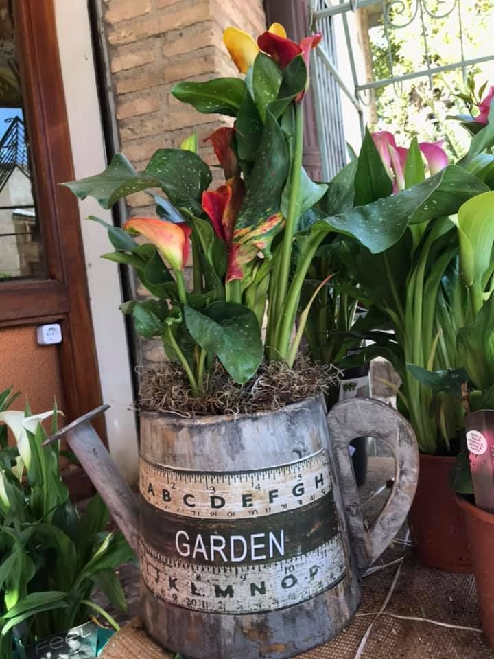 Servicio a domicilio sin cargo: Servicios de Floristería Campo y Jardín Servicio a domicilio sin cargo: Servicios de Floristería Campo y Jardín