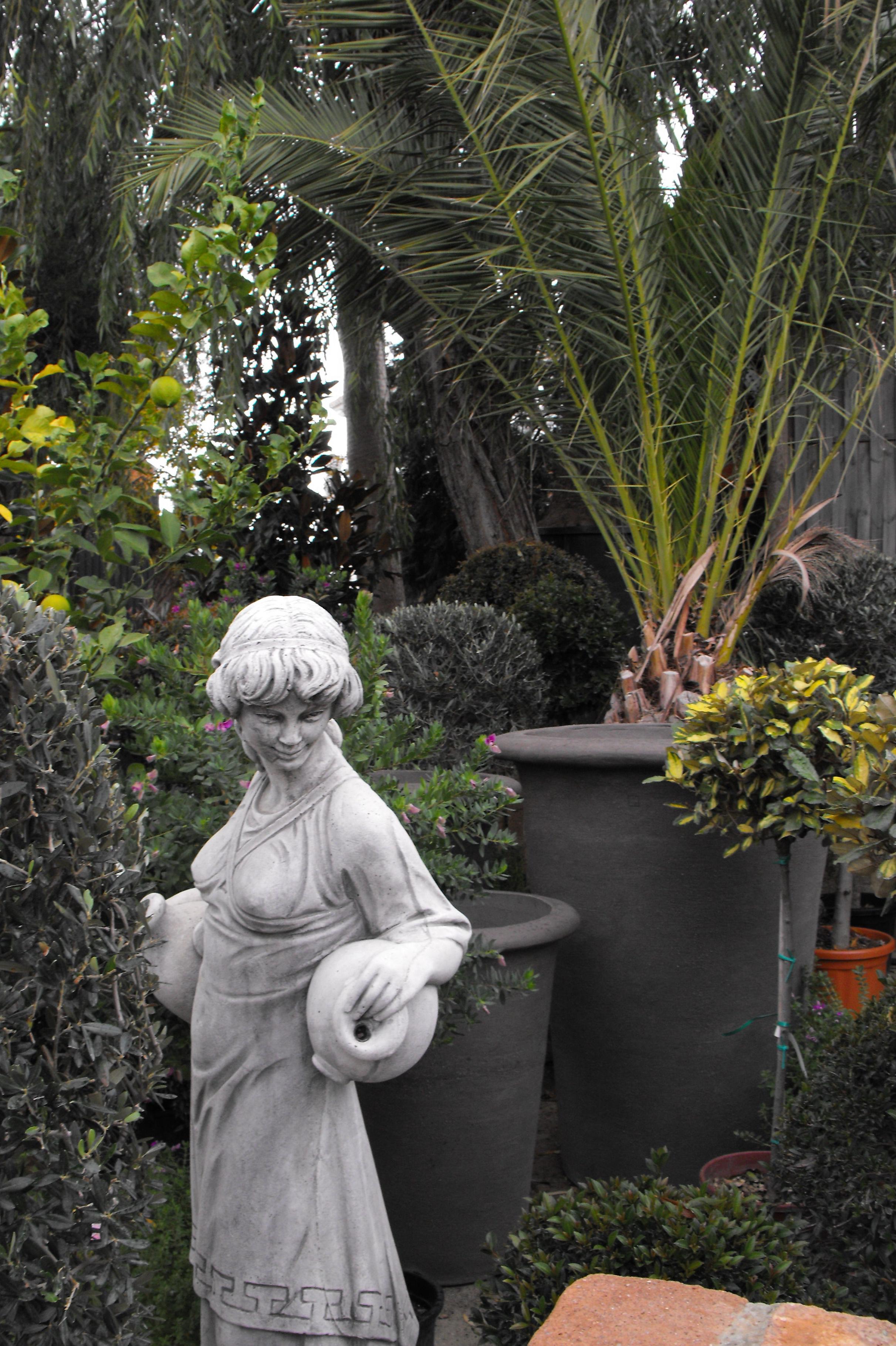 Ver fotos de jardineria 23 Ver fotos de jardineria 89