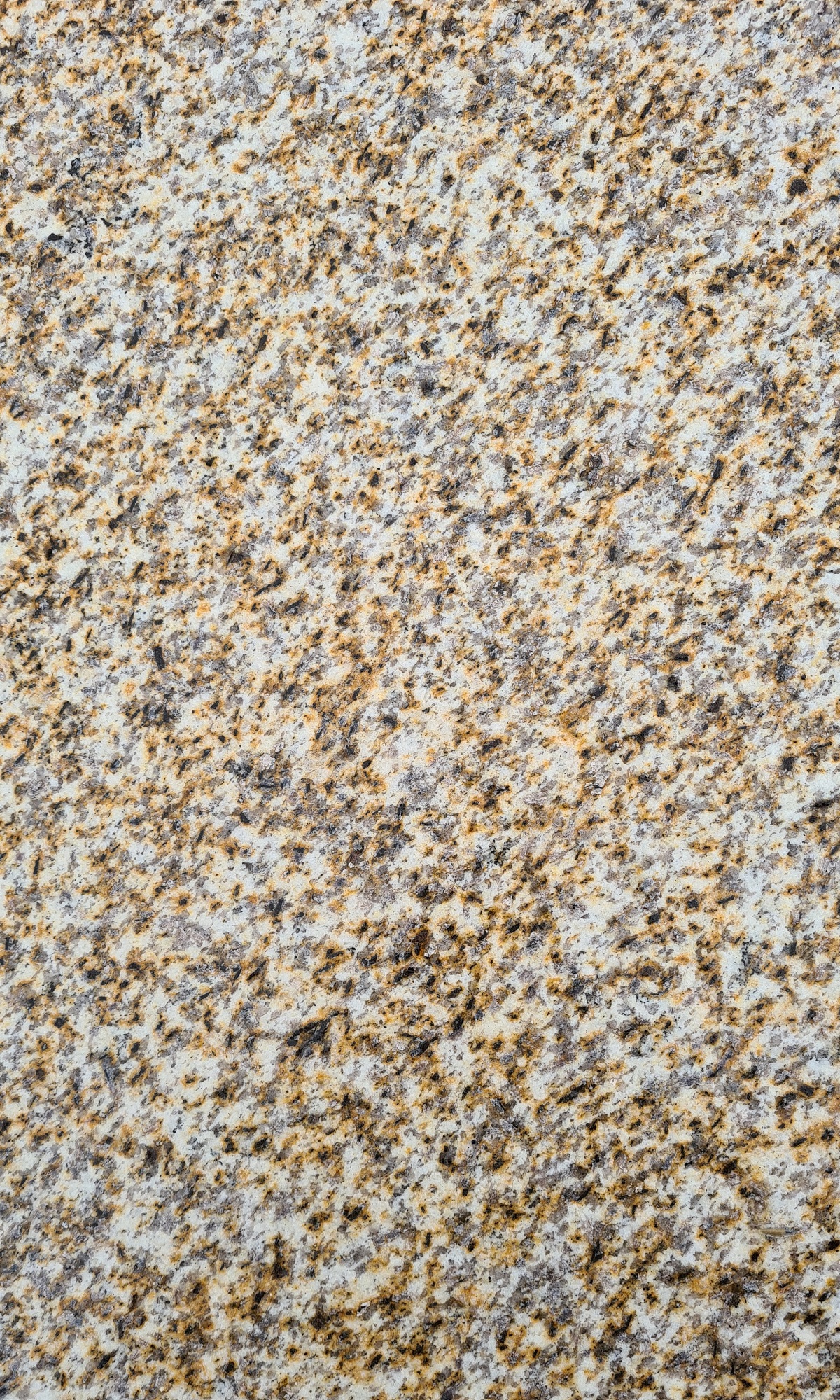 AM GRANITO.jpg AM GRANITO.jpg
