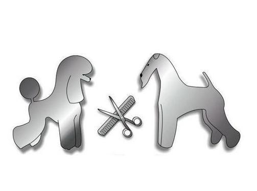 Clases de peluquería canina y felina: Nuestros trabajos de Animals Ca la Ruth Clases de peluquería canina y felina: Nuestros trabajos de Animals Ca la Ruth