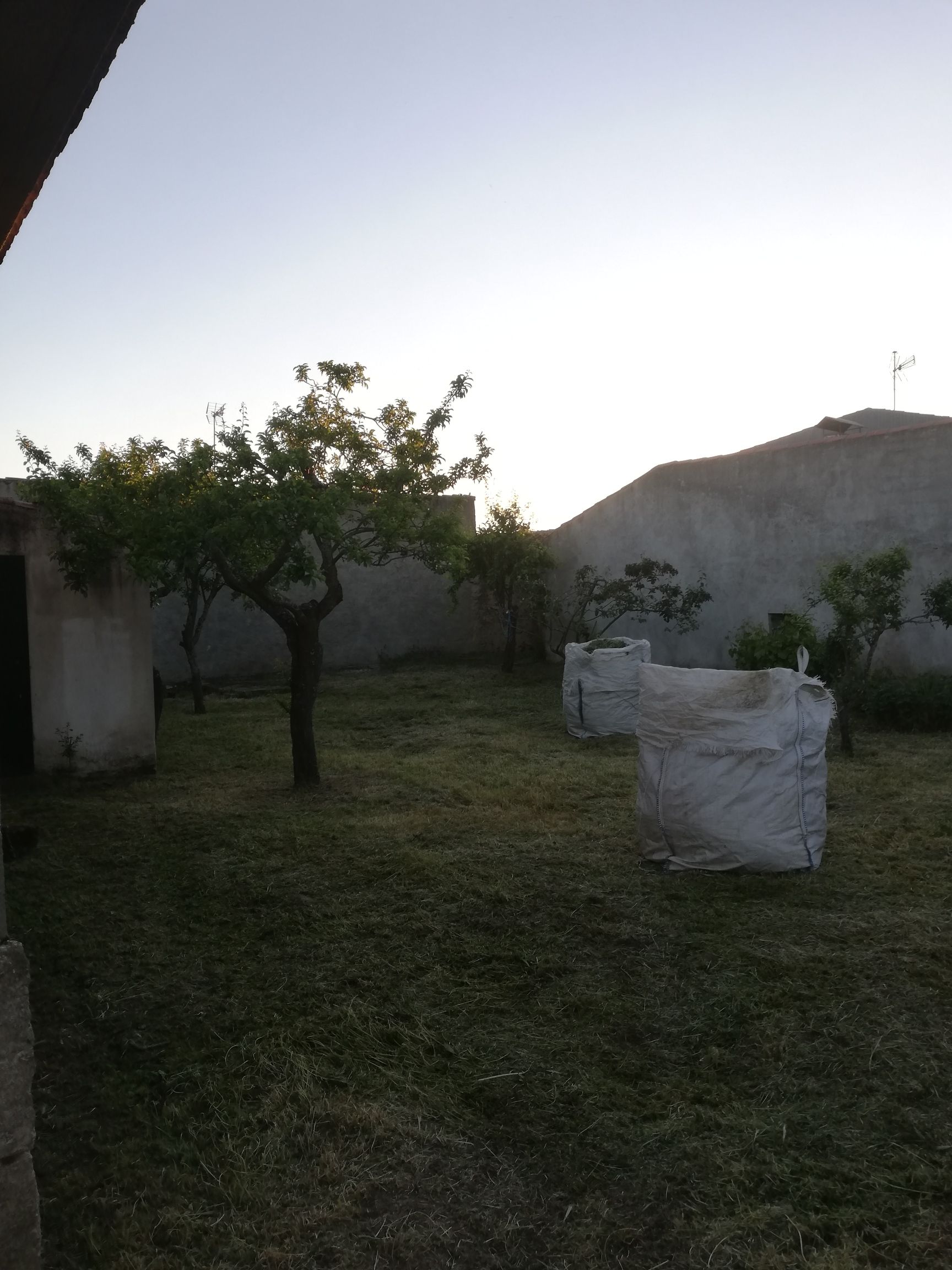 Corte y recogida de hierba Ciudad Rodrigo