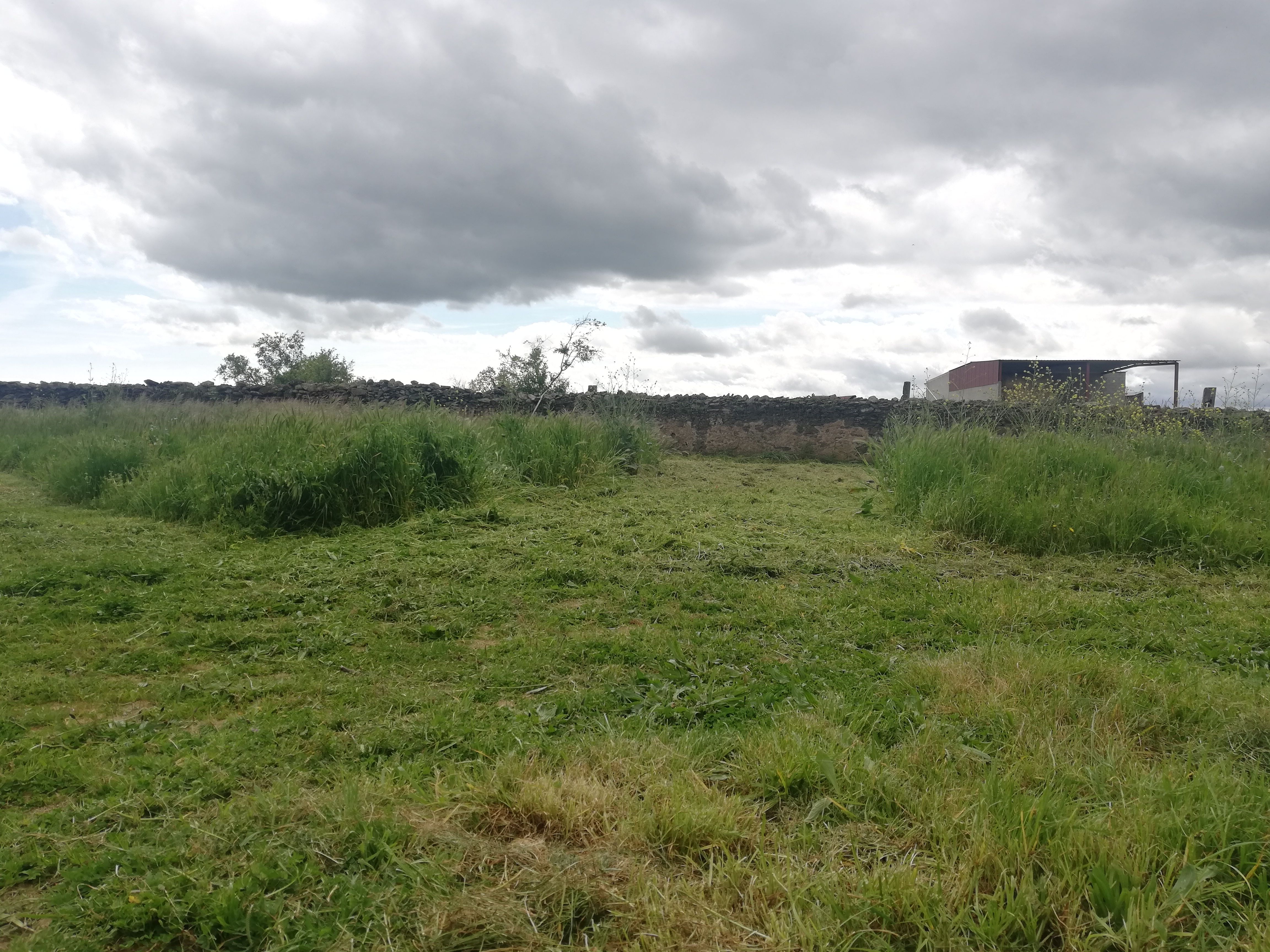 Segar campo en Ciudad ROdrigo