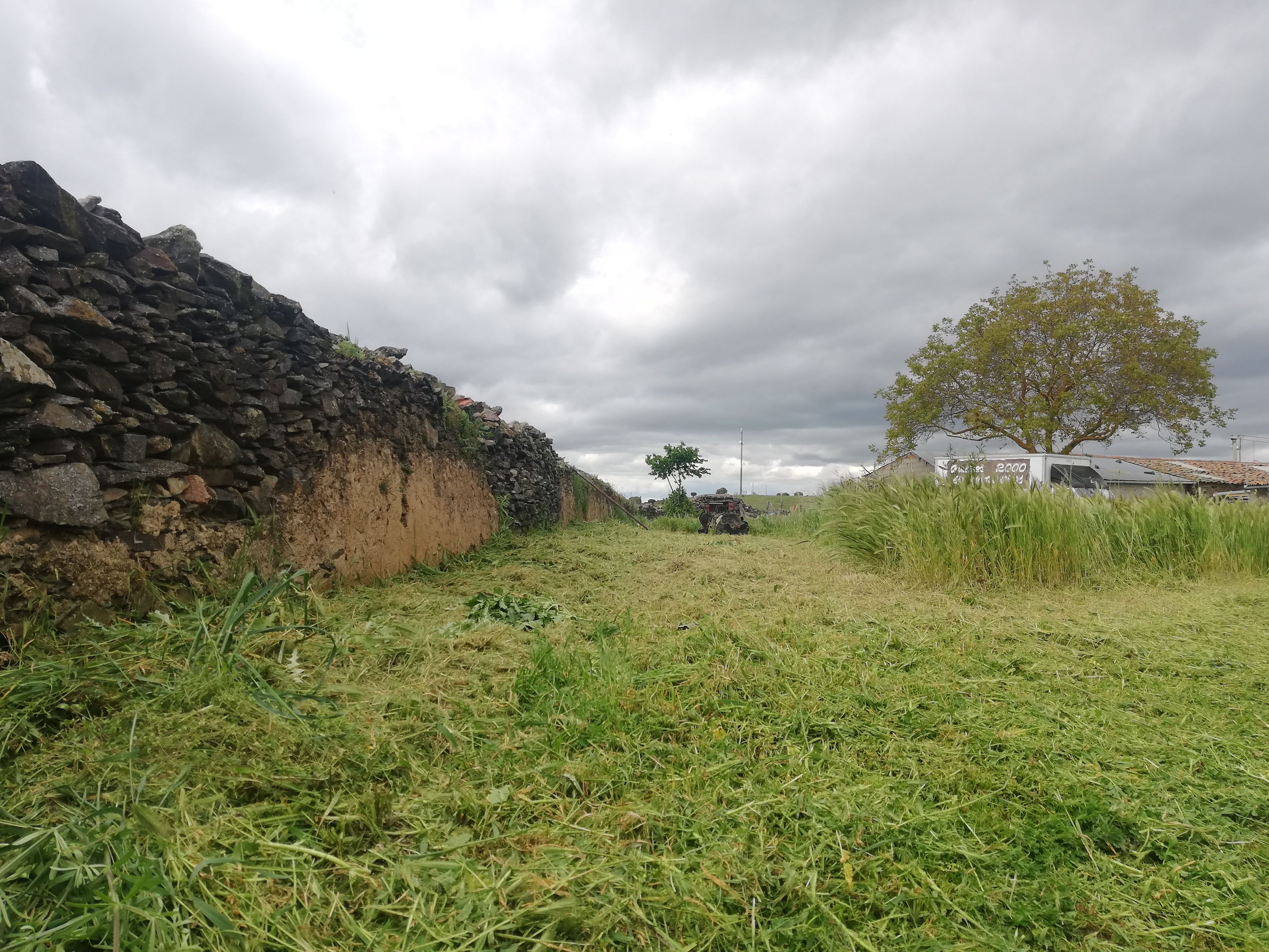 Segado de campo en Ciudad Rodrigo