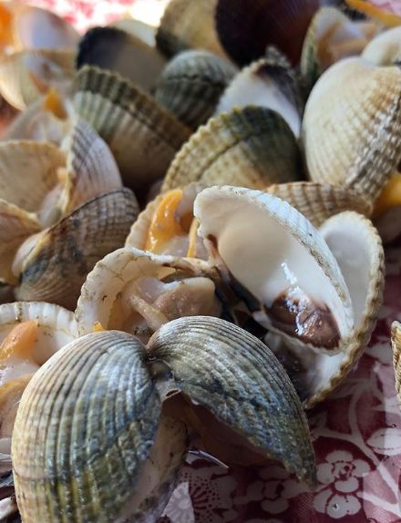 Carta de temporada: Nuestros Productos de Vascook Conil Carta de temporada: Nuestros Productos de Vascook Conil
