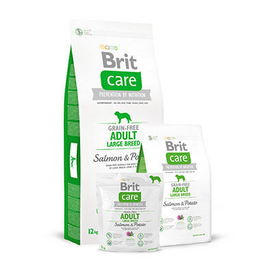 Brit care large Grain-Free Salmon y Patata : Para tu mascota de New Art Can Brit care large Grain-Free Salmon y Patata : Para tu mascota de New Art Can