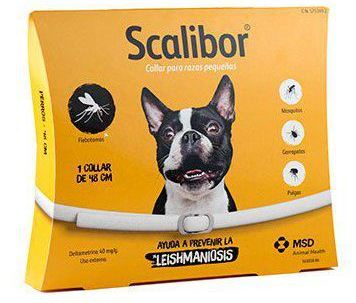 Scalibour 48cm perro : Para tu mascota de New Art Can Scalibour 48cm perro : Para tu mascota de New Art Can
