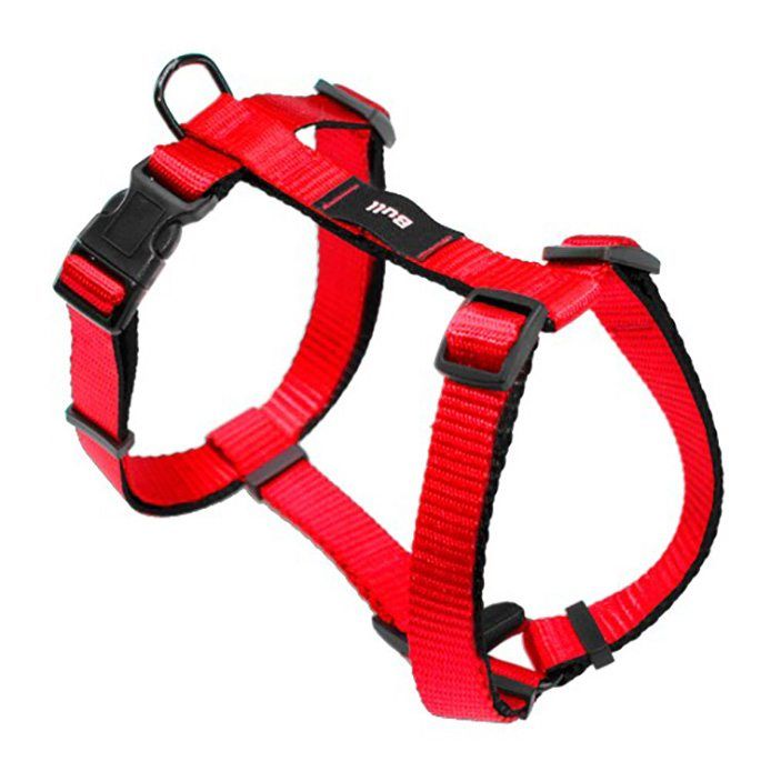 Accesorios para mascotas: Para tu mascota de New Art Can Accesorios para mascotas: Para tu mascota de New Art Can