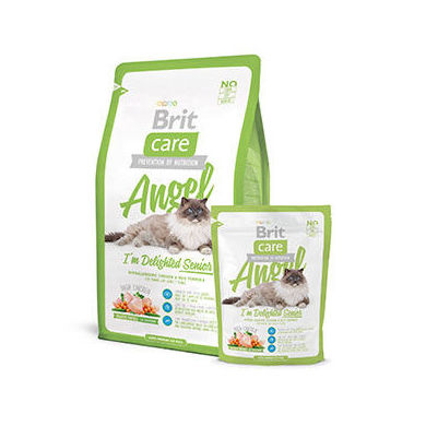 Brit care Angel señor: Para tu mascota de New Art Can Brit care Angel señor: Para tu mascota de New Art Can