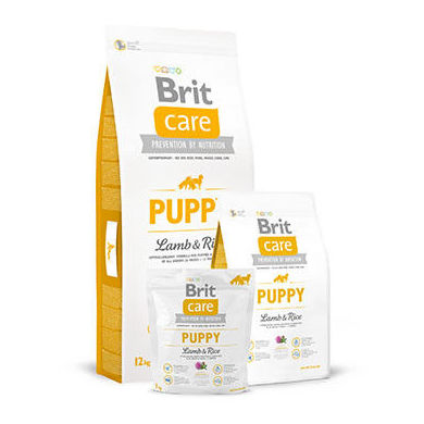 Brit care cordero y arroz puppy : Para tu mascota de New Art Can Brit care cordero y arroz puppy : Para tu mascota de New Art Can