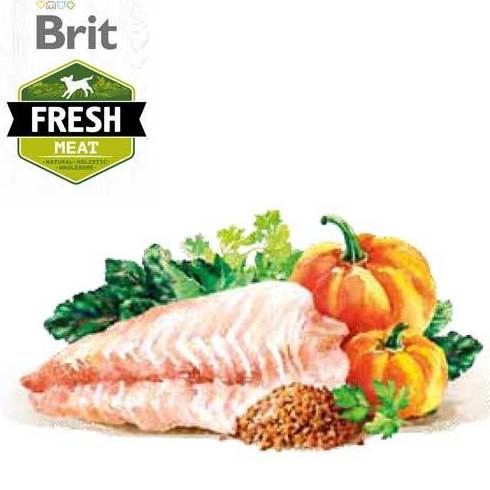 Brit Fresh Adult Large Pescado y Calabaza: Para tu mascota de New Art Can Brit Fresh Adult Large Pescado y Calabaza: Para tu mascota de New Art Can