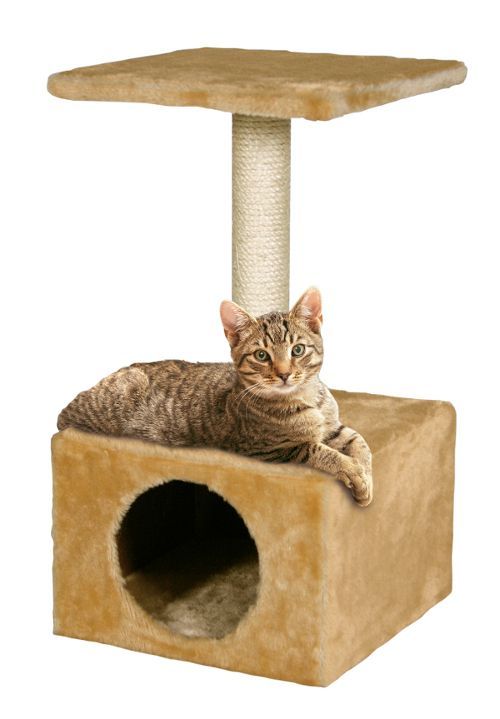 Juguetes y premios: Para tu mascota de New Art Can Juguetes y premios: Para tu mascota de New Art Can