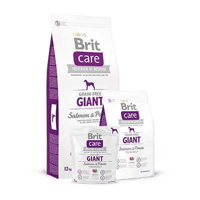 Brit care Giant Grain-Free Salmon y Patata : Para tu mascota de New Art Can Brit care Giant Grain-Free Salmon y Patata : Para tu mascota de New Art Can