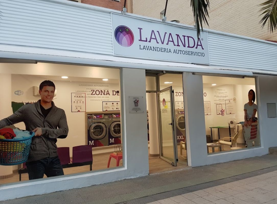 Local climatizado y con WiFi: Servicios de Lavandería Lavanda Local climatizado y con WiFi: Servicios de Lavandería Lavanda