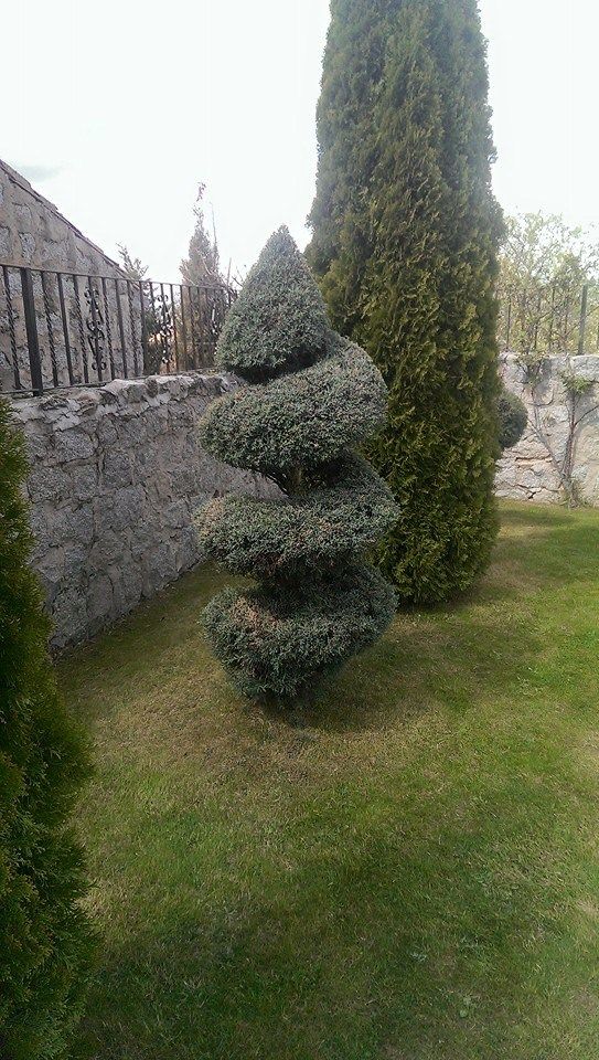 Mantenimiento de jardines: Servicios de Ávila Espacios verdes Mantenimiento de jardines: Servicios de Ávila Espacios verdes