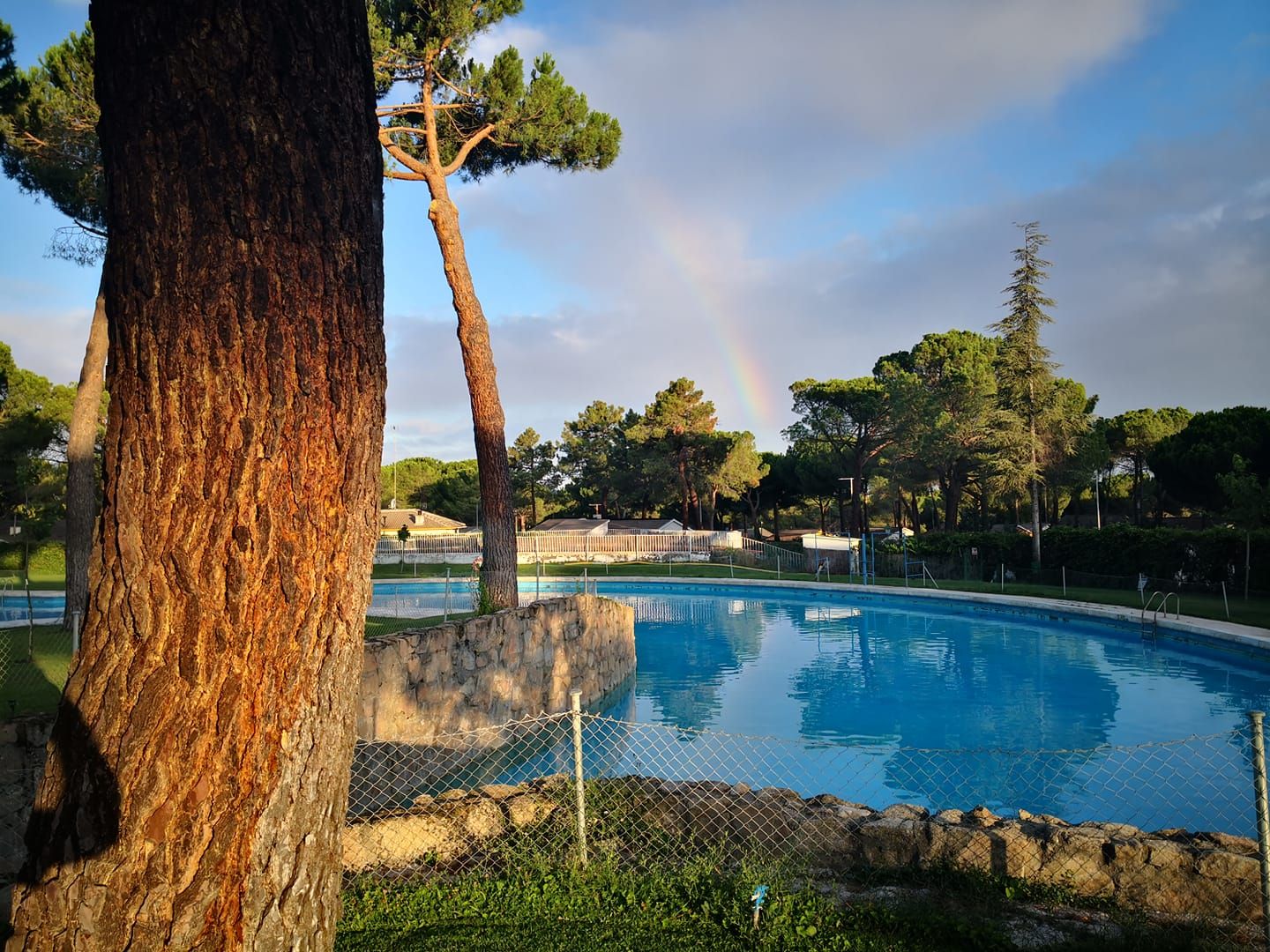 Mantenimiento de piscinas: Servicios de Ávila Espacios verdes Mantenimiento de piscinas: Servicios de Ávila Espacios verdes