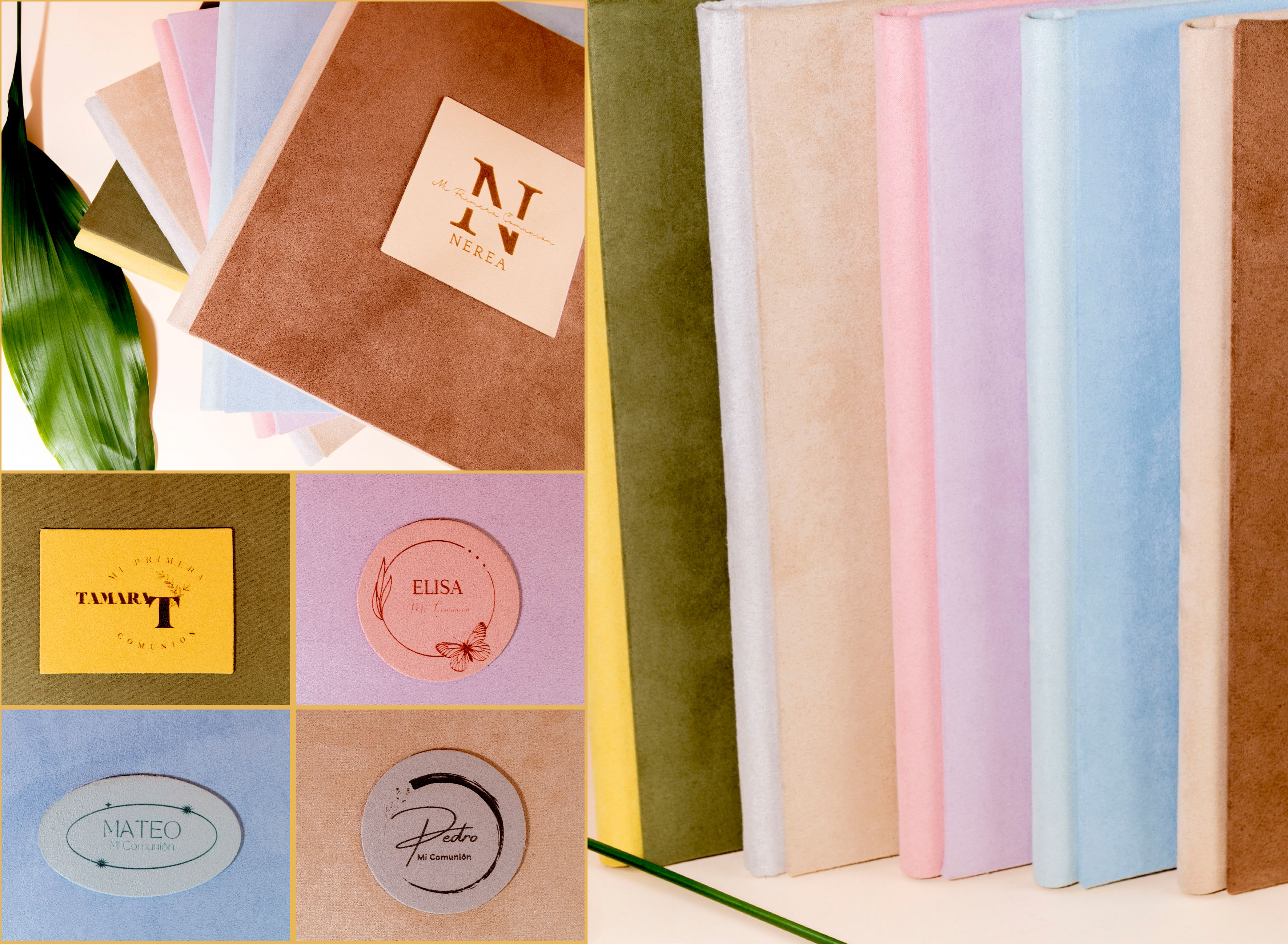 COMUNIONES 2023: Catálogo de Valencia Color