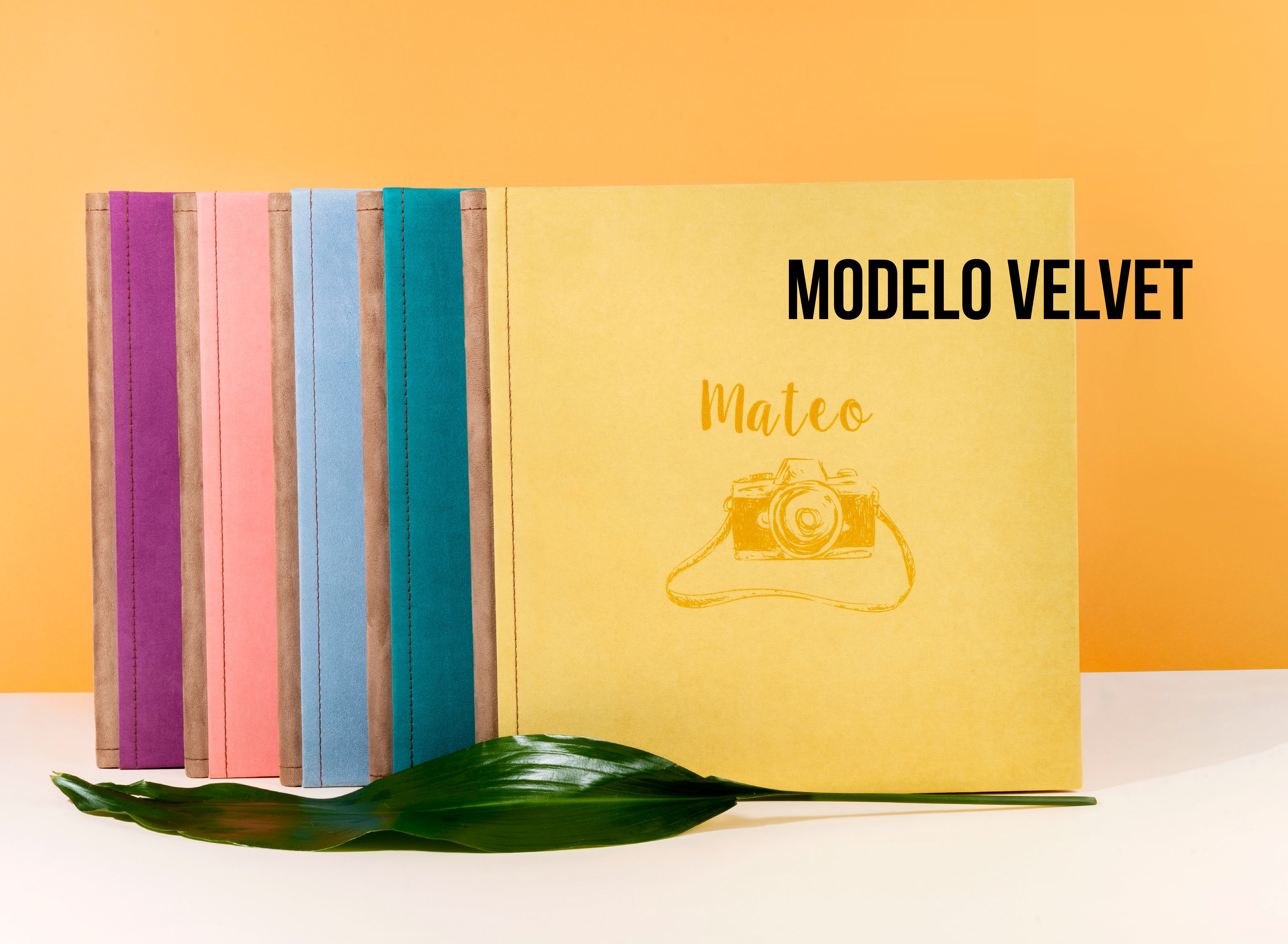 COMUNIONES 2023: Catálogo de Valencia Color