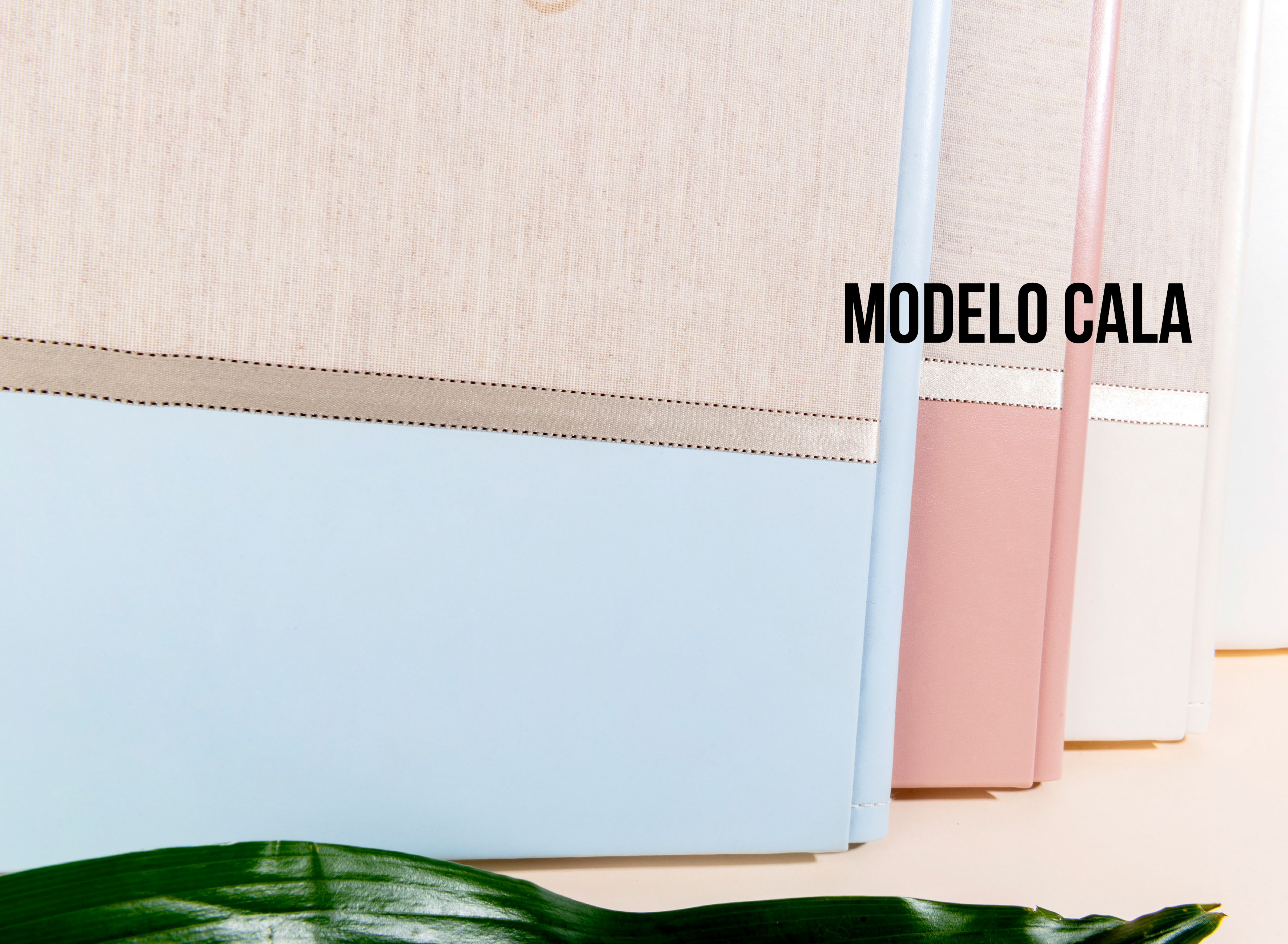 COMUNIONES 2023: Catálogo de Valencia Color