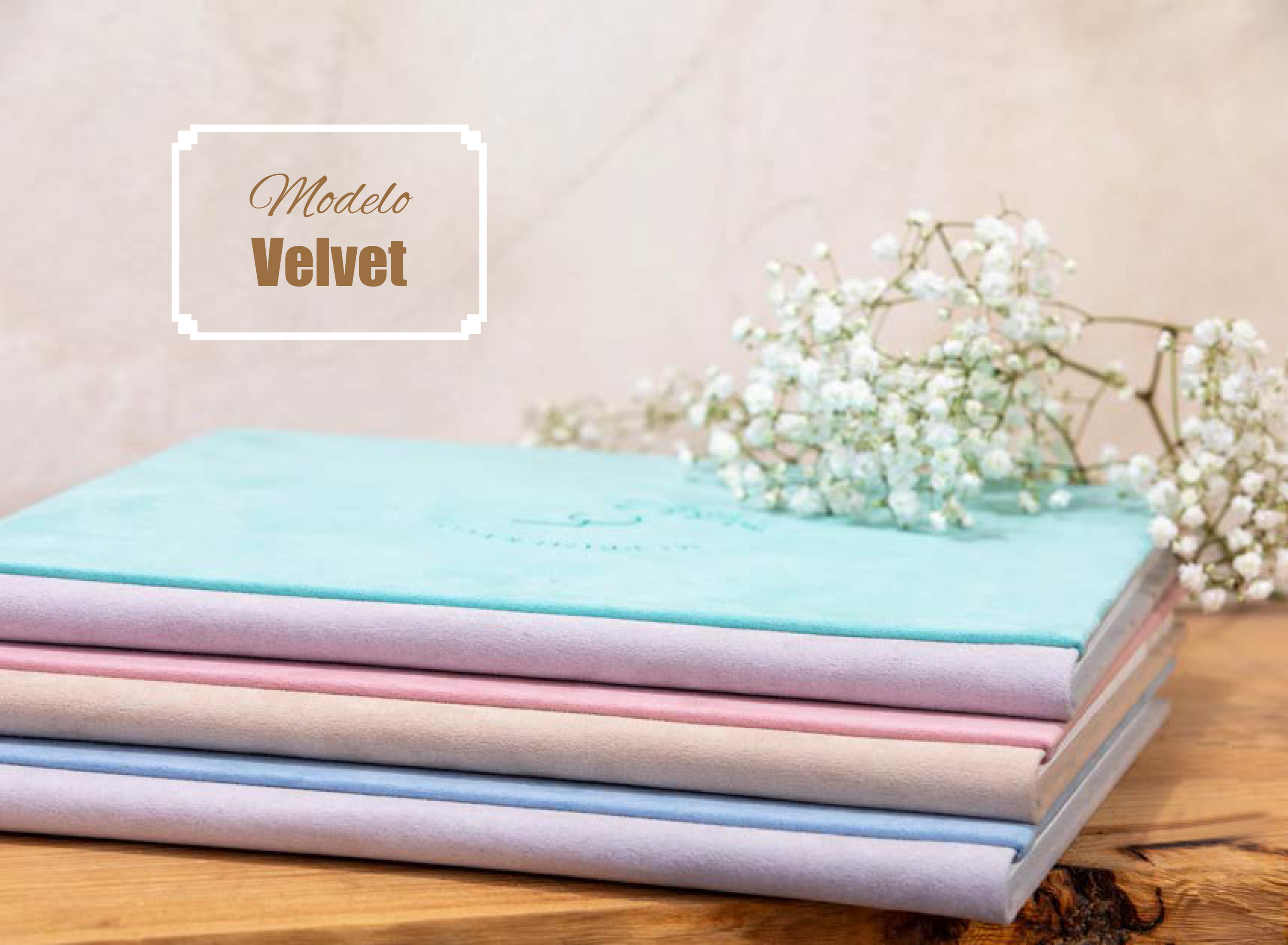 COMUNIONES 2024: Catálogo de Valencia Color