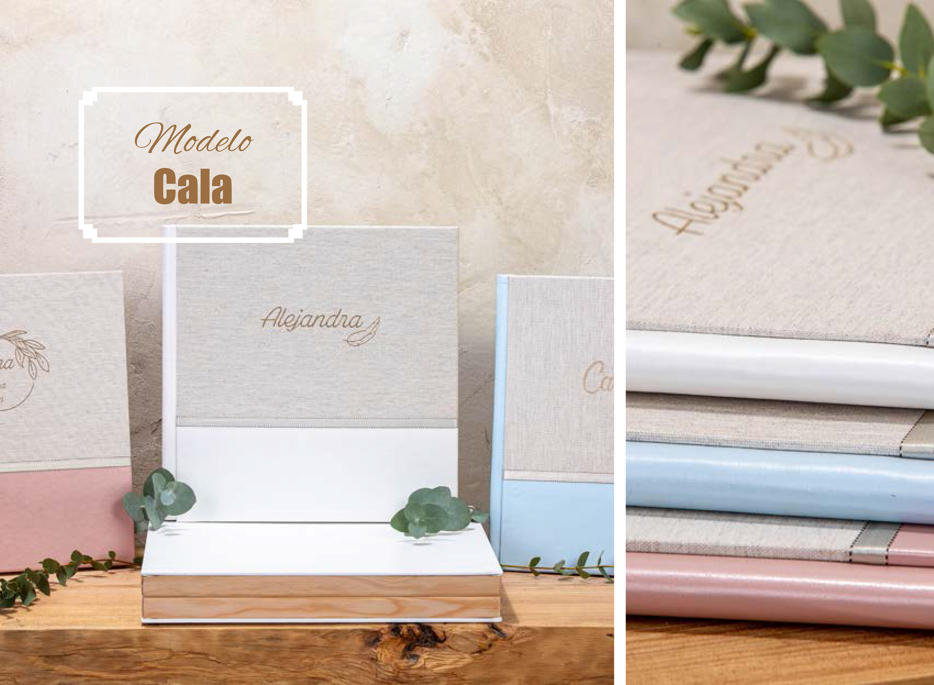 COMUNIONES 2024: Catálogo de Valencia Color