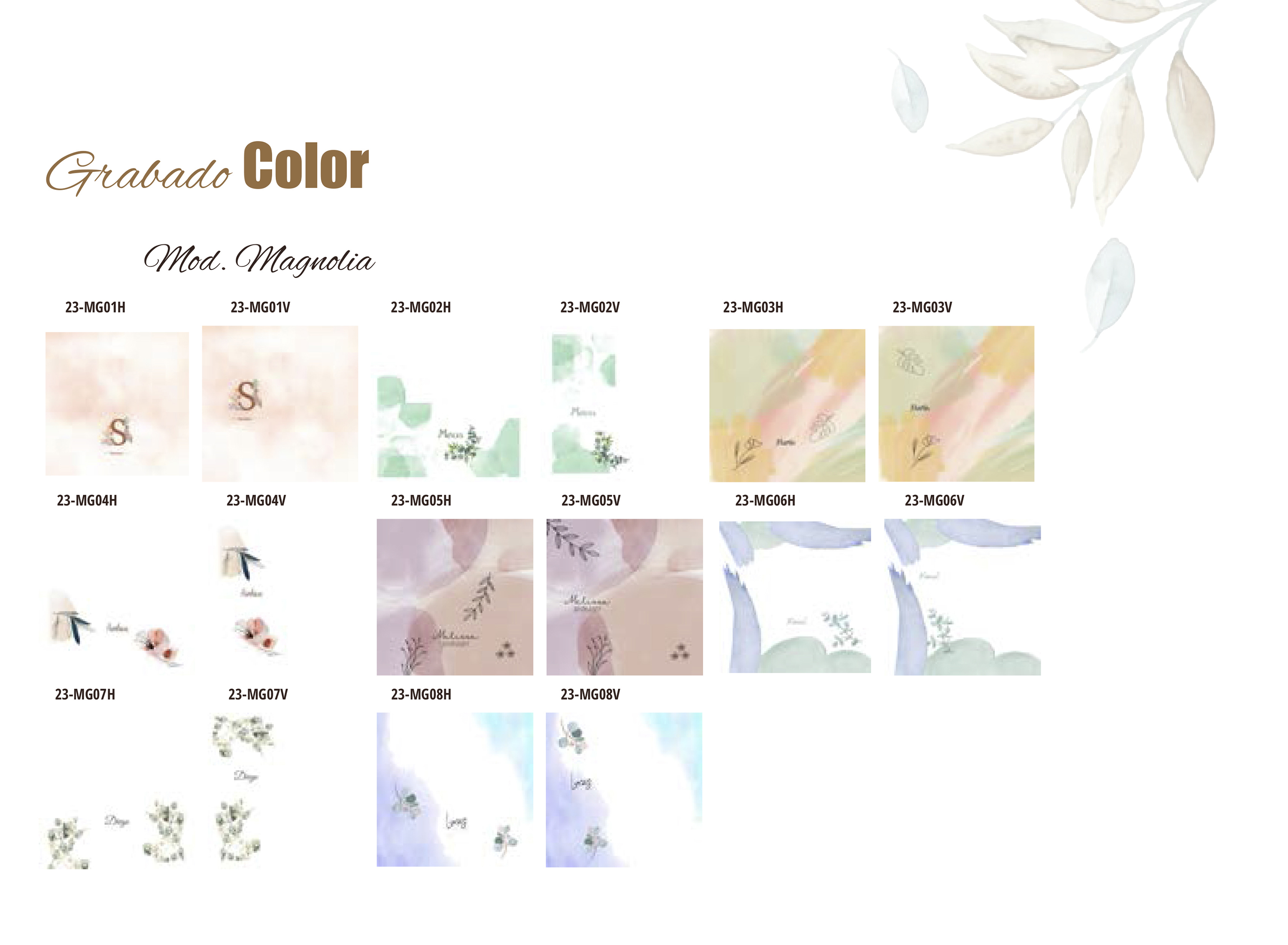 COMUNIONES 2024: Catálogo de Valencia Color