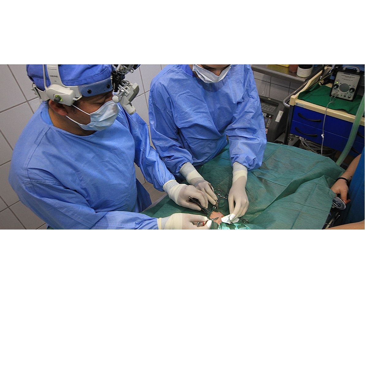 Cirugía general: Servicios de Clínica Veterinaria Vetsur Fuengirola Cirugía general: Servicios de Clínica Veterinaria Vetsur Fuengirola