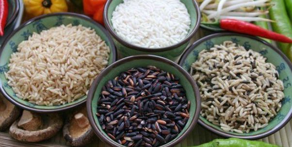 Semillas: Productos de Agroquímica Balear Semillas: Productos de Agroquímica Balear