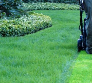 Jardín y áreas verdes: Productos de Agroquímica Balear Jardín y áreas verdes: Productos de Agroquímica Balear