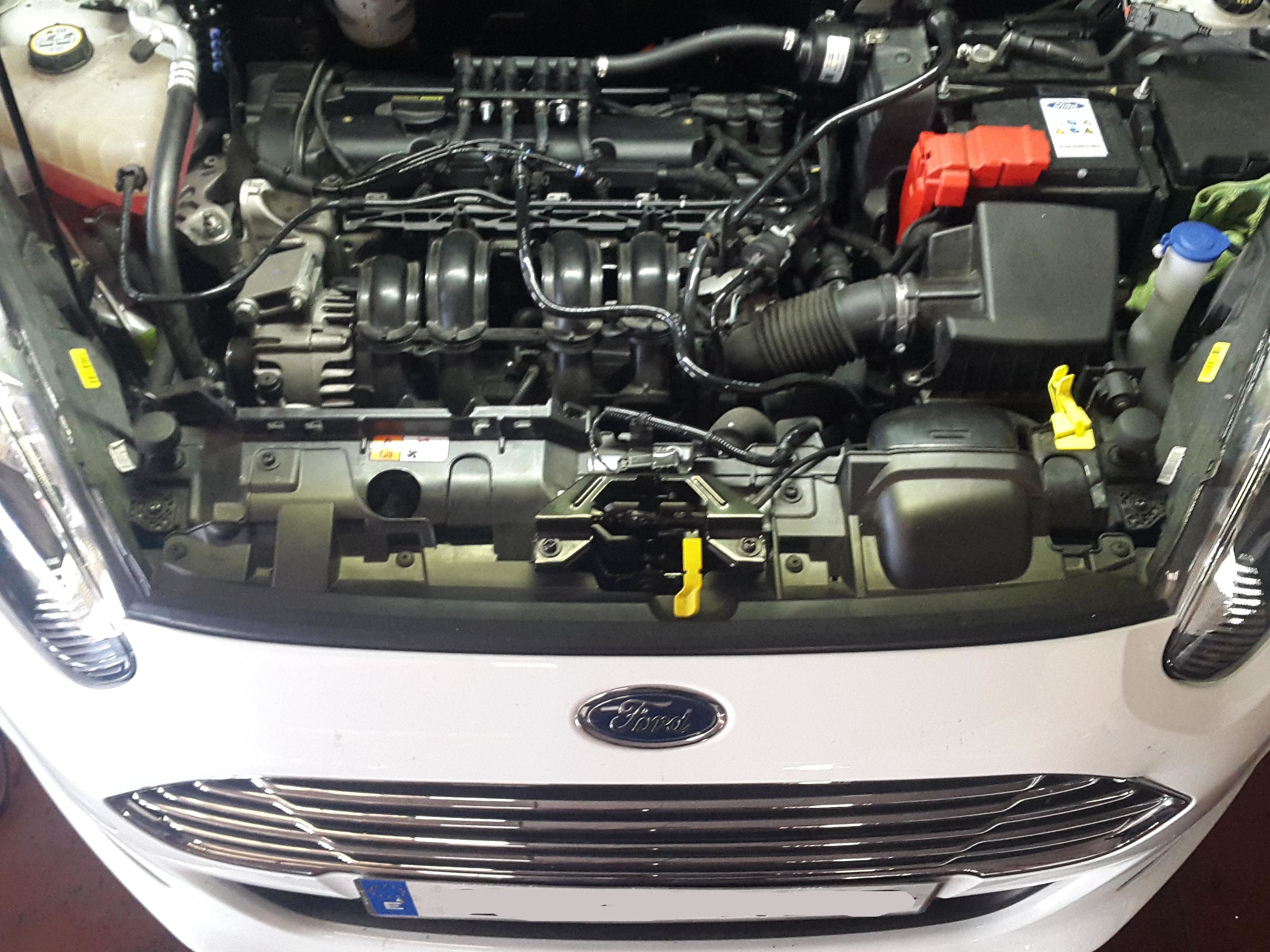 Motor transformado a glp Motor transformado a glp