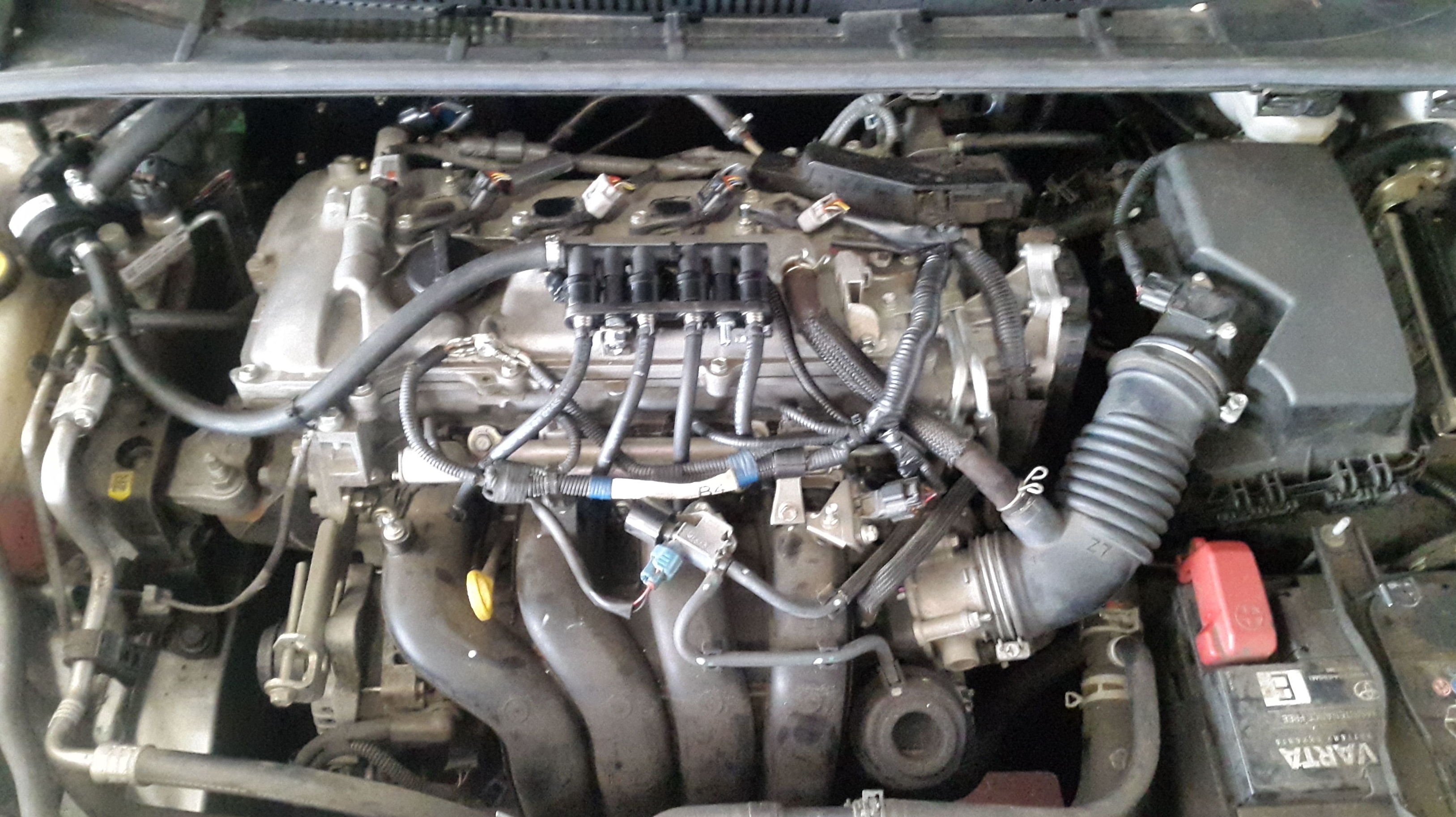 Motor transformado a glp Motor transformado a glp