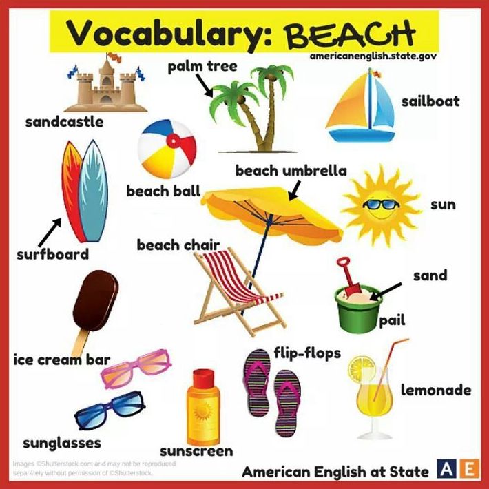 Vocabulary: beach