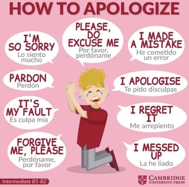 Como pedir perdón