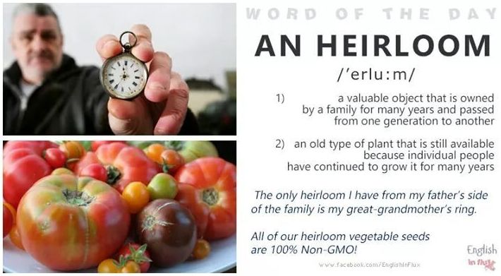 Word if the day: An heirloom }}