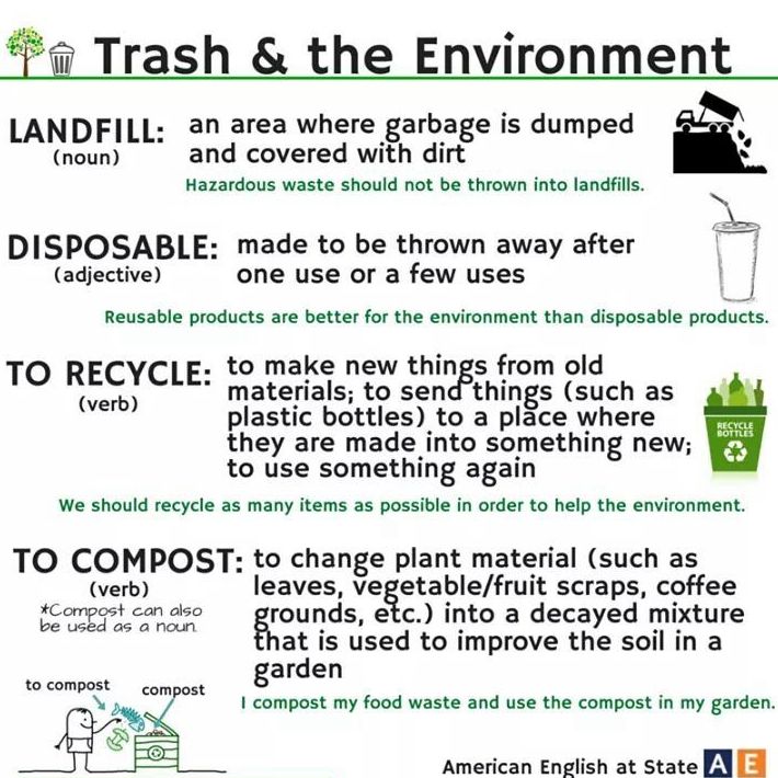 Vocabulary: trash and environment }}
