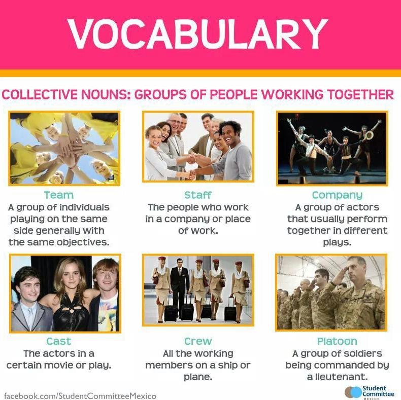 Vocabulary: Collective nouns }}