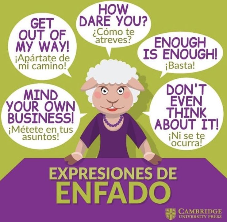 Enfado