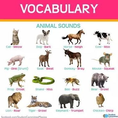 Vocabulary: animal sounds }}