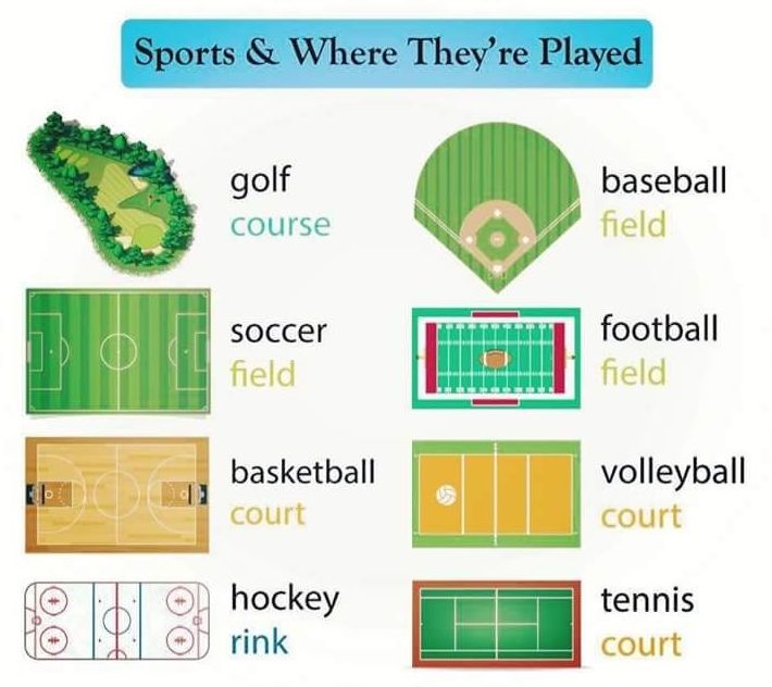 Sports & where they are played