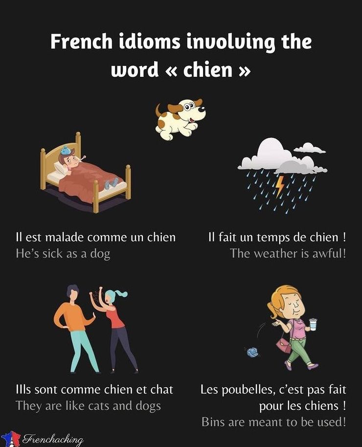 French idioms